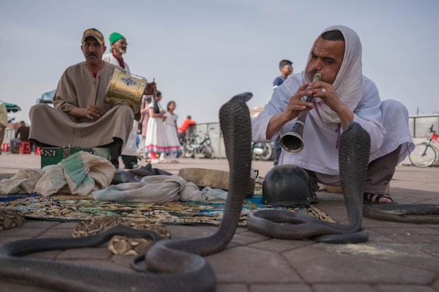 A snake charmer at Jemaa el-fna in Marrakech.
