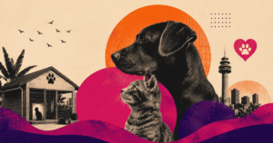 First for Women and Woodrock Animal Rescue partnership